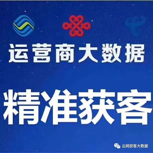 移动与联通 精准行业大数据的提供者与全行业数据抓取应用